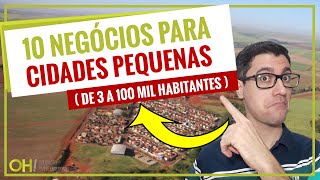 10 NEGÓCIOS PARA CIDADES PEQUENAS DE 3 A 100 MIL HABITANTES  EMPREENDA NEGÓCIOS LUCRATIVOS [upl. by Yraunaj]