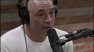 Joe Rogan on Transgender Athletes in MMA [upl. by Mackintosh]