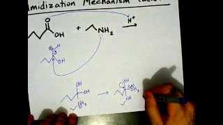 How to Make Amides Mechanism [upl. by Aderfla]