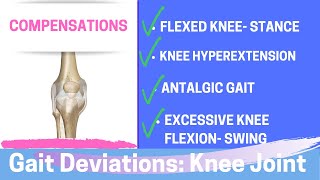 Gait Deviations Compensatory Knee Joint Strategies [upl. by Llerrom]