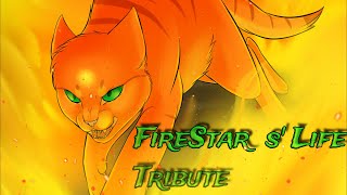 Firestars life [upl. by Wivinia264]