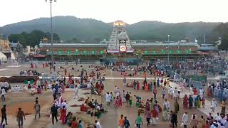 Tirupati Balaji Temple [upl. by Niwri]