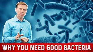 Friendly Bacteria Why You Really Need And how it Helps – Dr Berg [upl. by Gino]