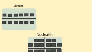 IGCSE Settlement Patterns [upl. by Belayneh]