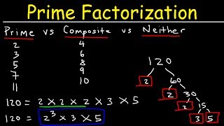 Prime Factorization Explained [upl. by Alyag]