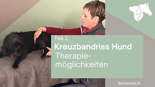 Teil 2 Kreuzbandriss beim Hund – Therapiemöglichkeiten [upl. by Kei768]