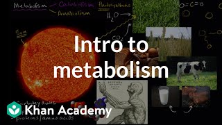 Introduction to metabolism anabolism and catabolism  Khan Academy [upl. by Yerhcaz]