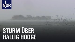 Land unter auf Hallig Hooge  die nordstory  NDR Doku [upl. by Romeo]