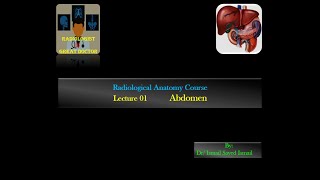 Radiological Anatomy Course Lecture 01 Abdomen Part1 [upl. by Lynnet]