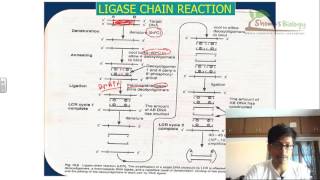 Ligase chain reaction LCR [upl. by Nawram]