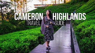 CAMERON HIGHLANDS  Complete Travel Guide  Travel Malaysia [upl. by Daukas828]