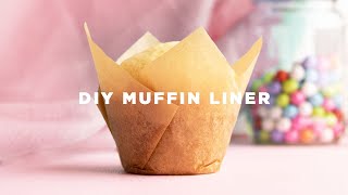 How to Make Cupcake Liners [upl. by Eng]