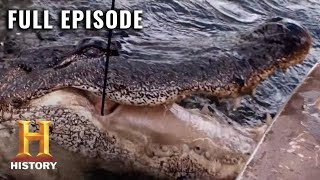 Swamp People Monster Men Season 7 Episode 5  Full Episode  History [upl. by Dammahom110]