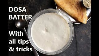 DOSA BATTER RECIPE  HOW TO MAKE DOSA BATTER  HOME with tips and tricks [upl. by Enitsrik]