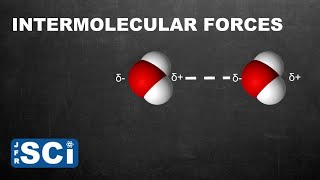 Intermolecular Forces [upl. by Ayekal768]