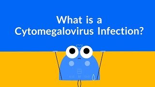 What is a Cytomegalovirus Infection Herpesvirus [upl. by Larianna]