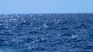 10 Hours Wide Open Ocean  Video amp Audio 1080HD SlowTV [upl. by Longtin945]