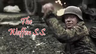 The Waffen SS Intense Combat Footage [upl. by Akeenahs]