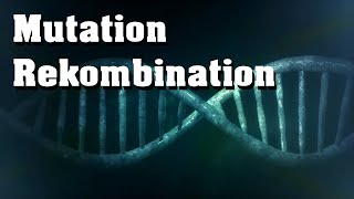 Evolution Mutation Rekombination genetische Variabilität [upl. by Maida]