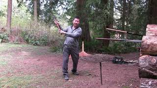 Short Assegai Lesson 1 [upl. by Nnylaf]