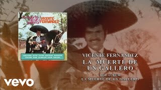 Vicente Fernández  La Muerte de un Gallero Cover Audio [upl. by Blackman]