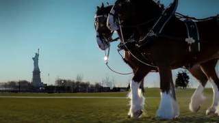 Budweiser Clydesdales 911 Tribute Ad Super Bowl 2011 [upl. by Ydorb]