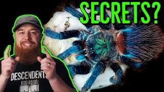 5 Things I Wish I Knew BEFORE Getting A Pet Tarantula [upl. by Mayberry]