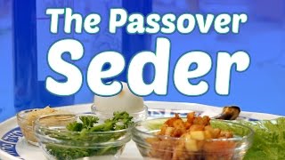 The Passover Seder What to Expect [upl. by Attelrahs515]