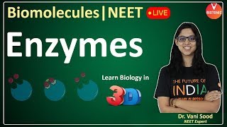 Biomolecules  Enzymes  CBSE Class 11 Biology Chapter 9  NEET 202324  Vani Maam [upl. by Eseryt830]