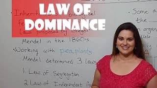 Mendels Law of Dominance [upl. by Ahsenit]