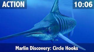 How to Catch a Marlin amp How to Feed a Marlin your Bait [upl. by Enrol]