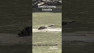 Cahill’s Crossing Crocodile [upl. by Torbart152]