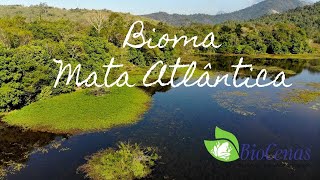 BIOMA MATA ATLÂNTICA [upl. by Ailehs]