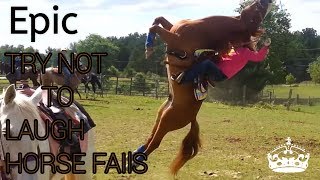 Try not to laugh  horse fails [upl. by Hoskinson963]