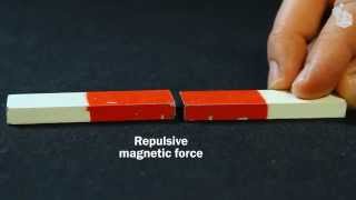 Video Lab Magnetic forces [upl. by Nakashima]