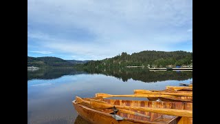 Titisee lake  titiseeneustadt  Black Forest  Badenwürttemberg [upl. by Lucille745]