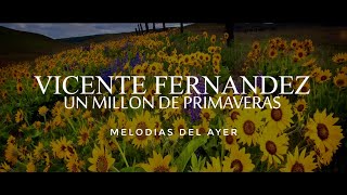 Vicente Fernández  Un Millón de Primaveras LETRA [upl. by Grimes62]