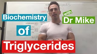 Fatty Acids Glycerol and Lipids  Biochemistry [upl. by Heuser]