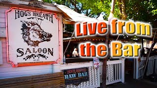 ⭕ Key West LIVE from the Bar 🎵 Hogs Breath Saloon [upl. by Kirstin515]