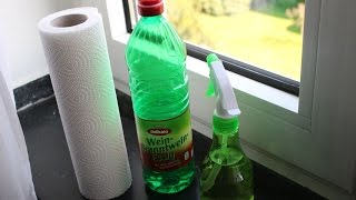 Bestes Mittel zum Fenster putzen  Essig   Best means for window cleaning  vinegar [upl. by Ayam]