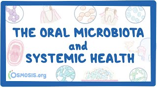 The Oral Microbiota and Systemic Health [upl. by Retsevlis54]