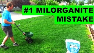 The Milorganite Mistake Many People are Making [upl. by Idelia788]