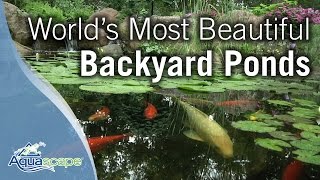 Worlds Most Beautiful Backyard Ponds [upl. by Onida]