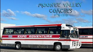 Moonee Valley Coaches 3648H9 on BCSV Tour [upl. by Naic140]