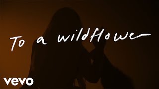 Tenille Townes  White Horse Lyric Video [upl. by Hendrik]