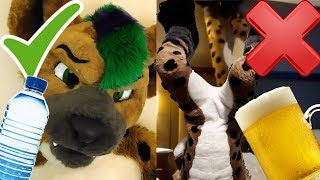 30 Fursuiting Dos and Donts [upl. by Ydniw]