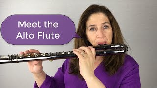 Meet the Alto Flute [upl. by Idihsar]