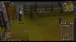 OSRS  HCIM  Fight Arena Quest Guide   Safe Spot [upl. by Leksehcey397]