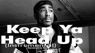 2Pac  Keep Ya Head Up Instrumental Reprod by Beast [upl. by Wack994]