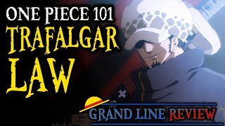 Trafalgar Law Explained One Piece 101 [upl. by Adnohsat]